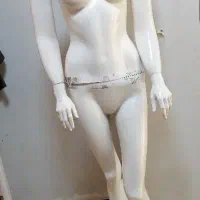 مانکن زنانه سالمه