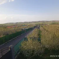 باغ با مجوز باغ و برق و آب سند شش دانگ|فروش خانه و ویلا|بستان آباد, |دیوار