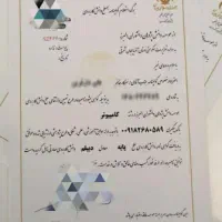 مدرک معتبر معادل دییپلم کاردانی کارشناسی و دکتری|خدمات آموزشی|سلماس, |دیوار