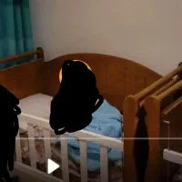 تخت چوبی کودک حفاظ دار|تخت و صندلی بچه|تهران, مجیدآباد|دیوار