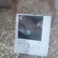 شهابسنگها زرن د|جواهرات|زرند, |دیوار