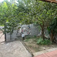 ویلا|اجارهٔ خانه و ویلا|آستانه اشرفیه, |دیوار