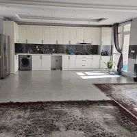 یه جفت فرش 12 متری از برند بهشتی