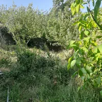 باغ۵۵۰متری سپیدان|فروش زمین و ملک کلنگی|سپیدان, |دیوار