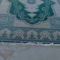 فرش 12متری|فرش|یزد, |دیوار