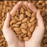 مغز بادام ساوه
