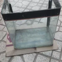 آکواریم ماهی