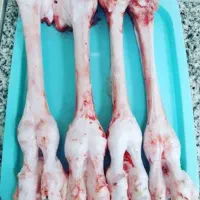 پاچه شتر برای دیگه شله و ...