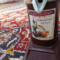 آب میوه گیر|آبمیوه‌گیر و آب‌مرکبات‌گیر|شوشتر, |دیوار