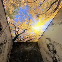 سقف کاذب و قرنیز|خدمات پیشه و مهارت|کرج, گوهردشت|دیوار