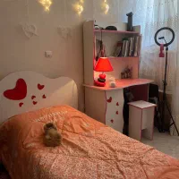 فروش سرویس چوب کامل در حدنو