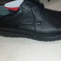 کفش نوید بهمن|کیف، کفش، کمربند|تهران, شهرک استقلال|دیوار