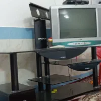 تلویزیون
