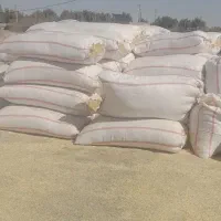 کاه کردستان