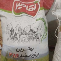 برنج پاکستانی وهندی وایرانی|عمده‌فروشی|اسلام‌شهر, مطهری|دیوار