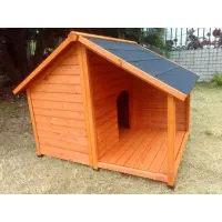 لانه گربه و سگ کوچک