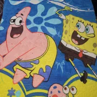 پتو جنس درجه یک کیف نولباس سایز ۱۱تا ۱۲سال پافر|رختخواب، بالش، پتو|کرمانشاه, |دیوار