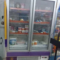 فریزر  فروشگاه