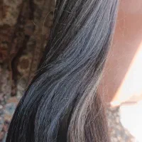 موی دم اسبی طبیعی|آرایشی، بهداشتی، درمانی|بوئین زهرا, |دیوار