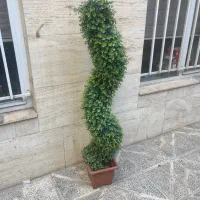 درختچه مصنوعی ۱۸۰سانتی