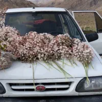 پراید مدل۸۸