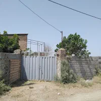 اجاره دامداری