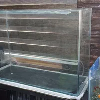 آکواریوم شیشه. خم|ماهی|اسلام‌شهر, شهرک الهیه|دیوار