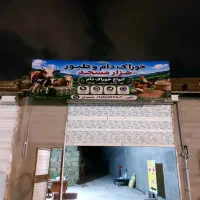 خوراک دام هزار مسجد