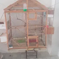 فروش فوری قفس چوبی بزرگ|لوازم جانبی حیوانات|بوشهر, |دیوار