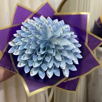 گل‌آرایی و‌پول‌آرایی