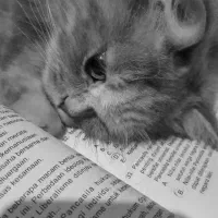 کمک برای تغییررشته