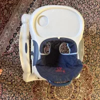 روئوروئک برند ببکو