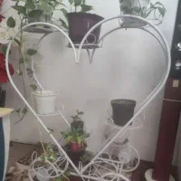 استند فلزی گل
