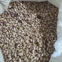 لوبیا چیتی درجه یک برداشت امسال  ۳۸۰|خوردنی و آشامیدنی|رستم, |دیوار