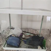 آکواریوم شیشه گرد با وسایل و اکسیژن ساز