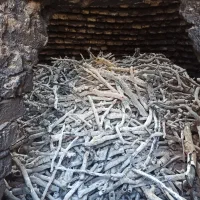 خرید چوب پسته و برش درخت|خدمات باغبانی و درختکاری|سیرجان, |دیوار