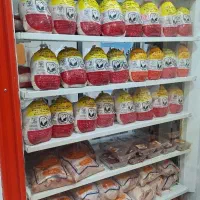 یخچال مرغی دورونما سالم