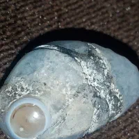 جواهر مروارید عتیقه که ازشکم ماهی دراومده|کلکسیون اشیاء عتیقه|اردبیل, |دیوار