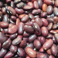 لوبیا قرمز|خوردنی و آشامیدنی|شیراز, میدان قائم|دیوار