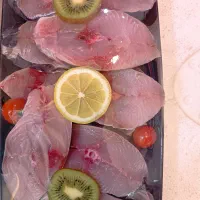 ماهی میگو جنوب شاهرخ