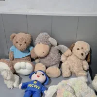 عروسک|اسباب‌بازی بچه|رشت, رودبارتان|دیوار