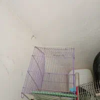 جای‌پرنده‌قفس