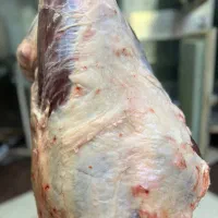 ادیتور و طراحی فیلم
