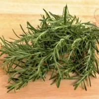 گیاه رزماری|گل و گیاه طبیعی|بندر ماهشهر, |دیوار