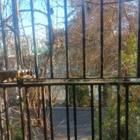 بیلبورد خور،4طبقه 140متری.