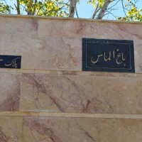 باغچه-500-متری-در-مجموعه
