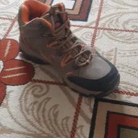 کفش کوهنوردی و پیاده رویی کورتکس .|کیف، کفش، کمربند|سنندج, |دیوار