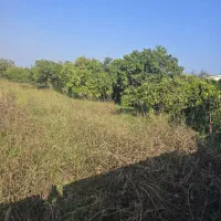 زمین۲۲۰متری|فروش زمین و ملک کلنگی|واجارگاه, |دیوار