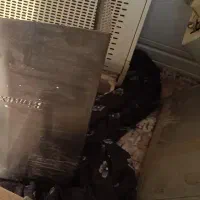 هود|هود|قم, نخودی|دیوار