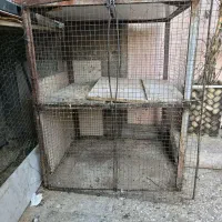 قفس و جفتگاه